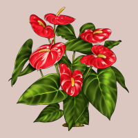 Anthurium Premium Hoodie | Teevron