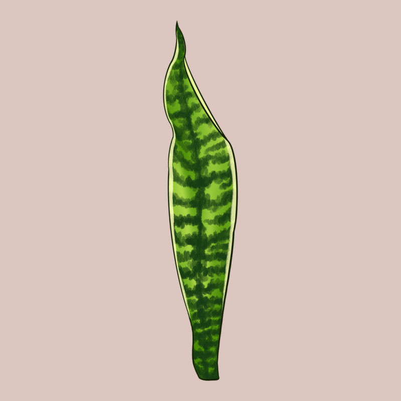 Snake Plant Premium Hoodie by LillyAllenDesigns | Teevron