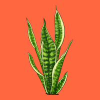 Snake Plant Premium Hoodie | Teevron