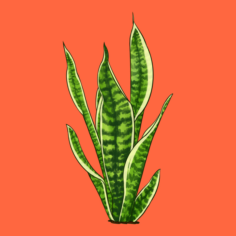 Snake Plant Premium Hoodie by LillyAllenDesigns | Teevron