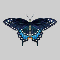 Black Swallowtail Butterfly Premium Tee | Teevron