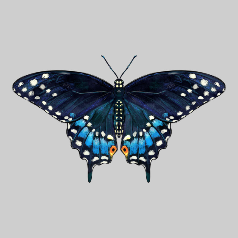 Black Swallowtail Butterfly Premium Tee by LillyAllenDesigns | Teevron
