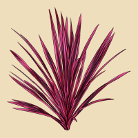 Pink Cordyline Premium Hoodie | Teevron