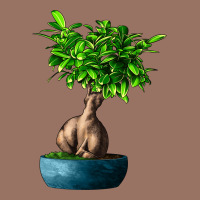 Ficus Ginsenge Premium Hoodie | Teevron