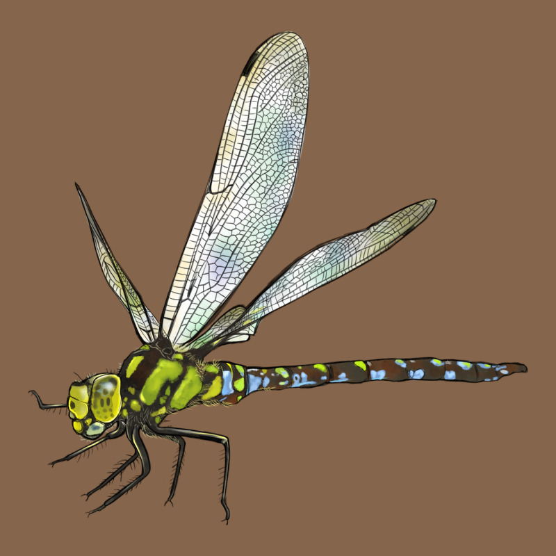 Blue And Yellow Dragonfly Premium Tee by LillyAllenDesigns | Teevron