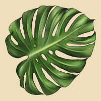 Monstera Leaf Premium Hoodie | Teevron