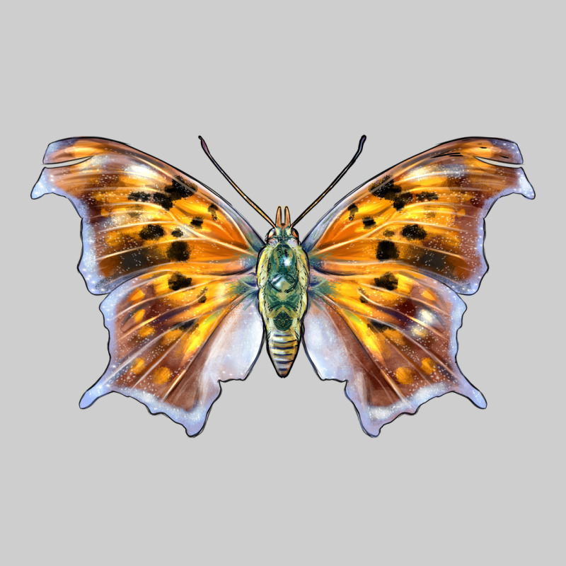 Question Mark Butterfly Premium Tee by LillyAllenDesigns | Teevron