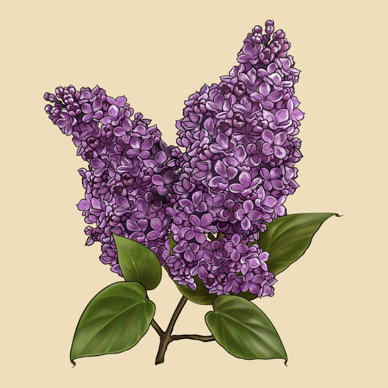 Purple Lilac Flower Illustrations Premium Hoodie by LillyAllenDesigns | Teevron