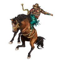 western horse rodeo | Teevron