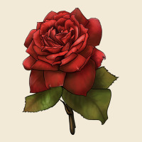 Oklahoma Rose Illustrations Premium Hoodie | Teevron