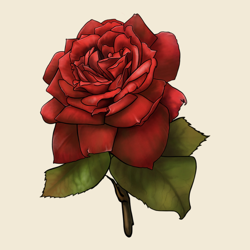 Oklahoma Rose Illustrations Premium Hoodie by LillyAllenDesigns | Teevron