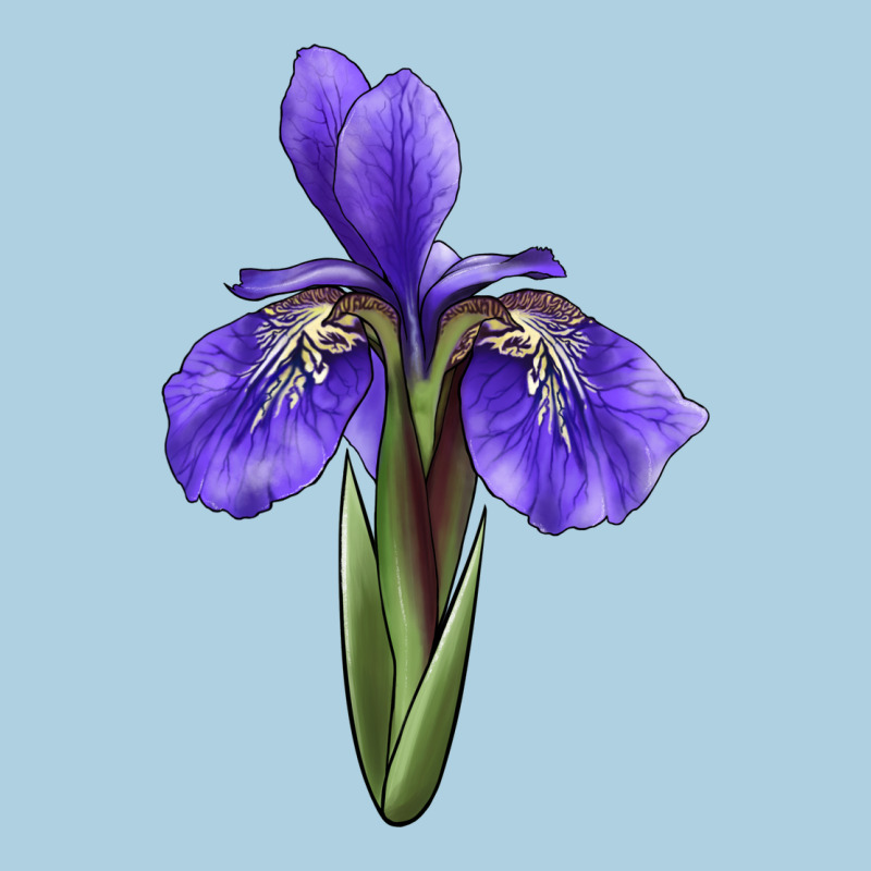 Iris Flower Illustrations Premium Hoodie by LillyAllenDesigns | Teevron