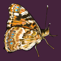 Painted Lady Butterfly Premium Tee | Teevron