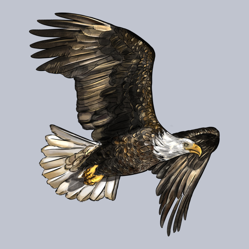 White Headed Eagle Premium Hoodie by LillyAllenDesigns | Teevron