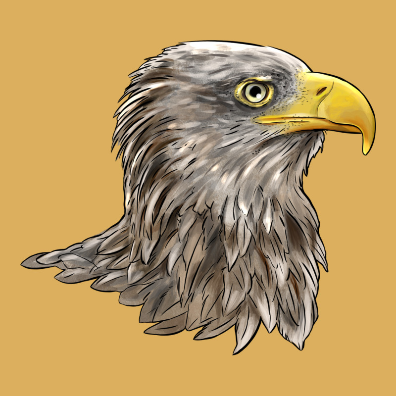 American White Sea Eagle Head Premium Hoodie by LillyAllenDesigns | Teevron
