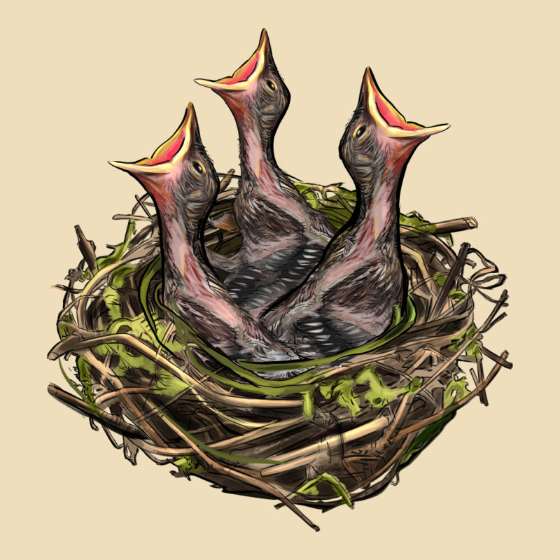 Bird Nest With Baby Birds Premium Hoodie by LillyAllenDesigns | Teevron