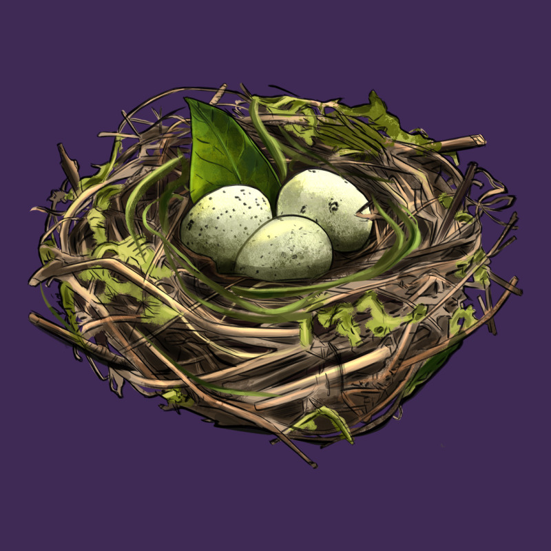 Bird Nest With Eggs Premium Hoodie by LillyAllenDesigns | Teevron