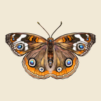 Common Buckeye Butterfly Premium Tee | Teevron