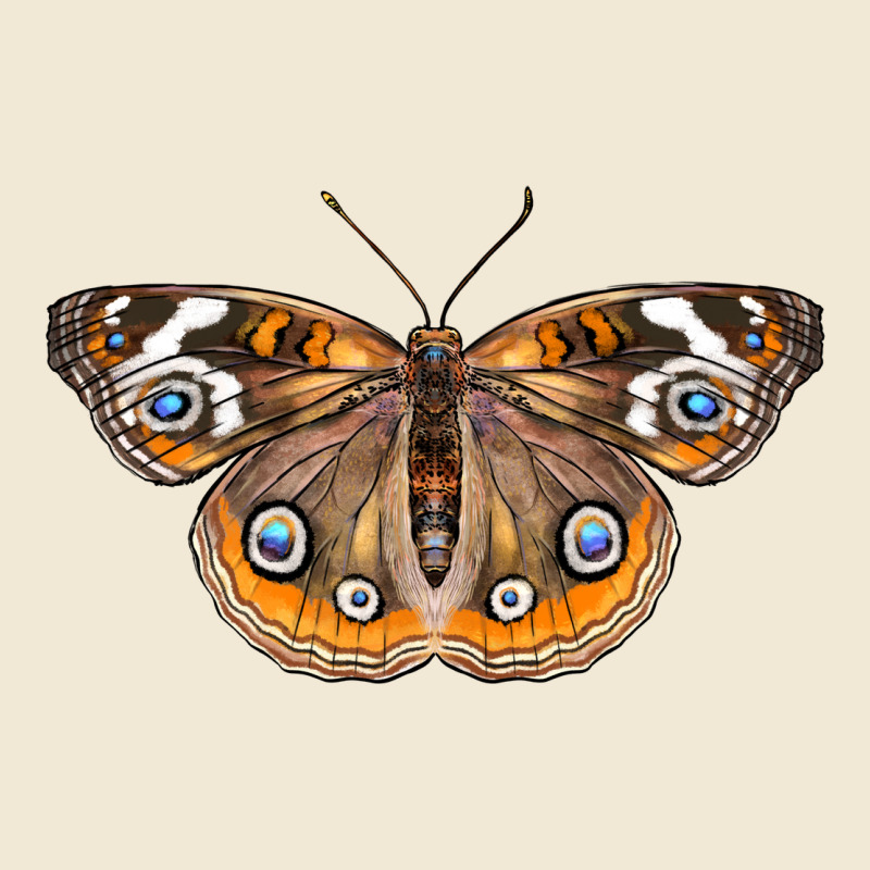 Common Buckeye Butterfly Premium Tee by LillyAllenDesigns | Teevron