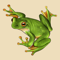 White Lipped Tree Frog Illustrations Premium Hoodie | Teevron