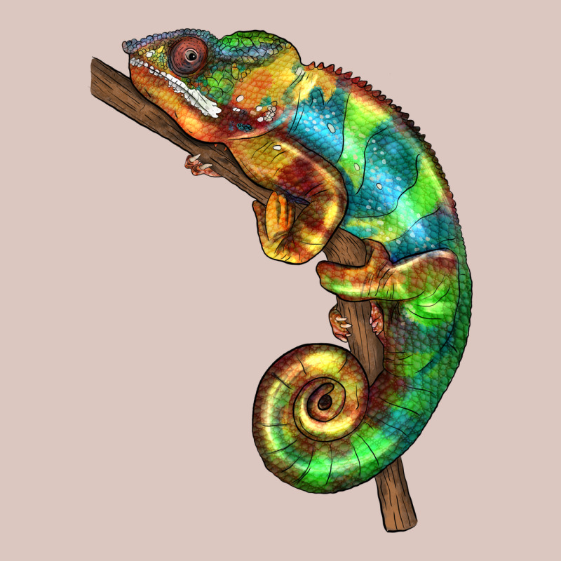 Chameleon Lizard Illustrations Premium Hoodie by LillyAllenDesigns | Teevron