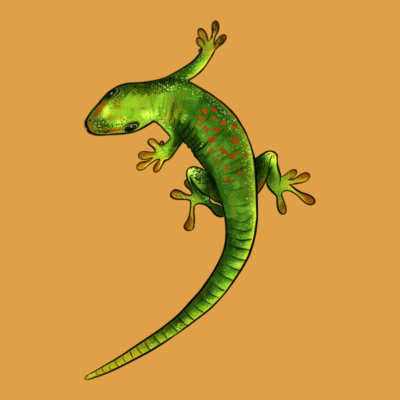 Green Lizard Illustrations Premium Hoodie by LillyAllenDesigns | Teevron