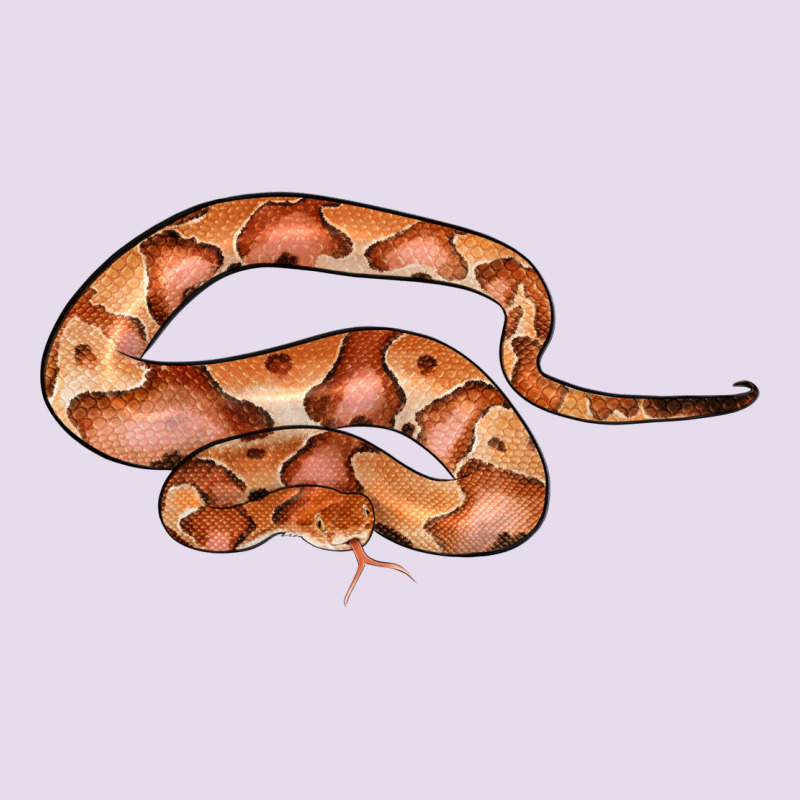 Copperhead Snake Illustrations Premium Hoodie by LillyAllenDesigns | Teevron