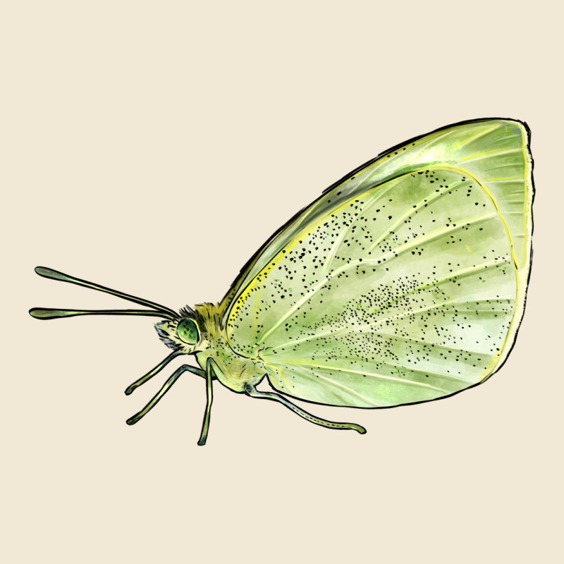 Cabbage White Butterfly Premium Tee by LillyAllenDesigns | Teevron