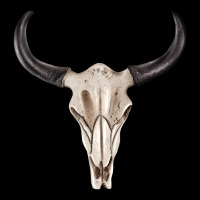 Western Bull Skull Tbw Zipper Hoodie | Teevron
