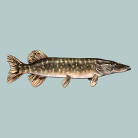 Northern Pike Fish Illustrations Heavy Core Tee | Teevron