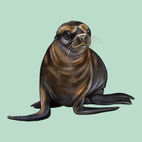 Sea Lion Illustrations Premium Hoodie | Teevron