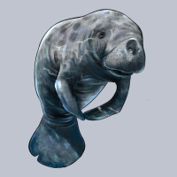 Manatee Illustrations Premium Hoodie | Teevron