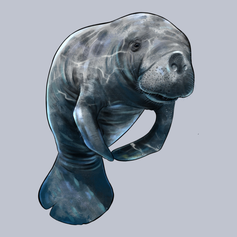 Manatee Illustrations Premium Hoodie by LillyAllenDesigns | Teevron