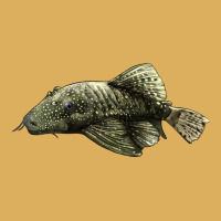 Bristlenose Placo Premium Hoodie | Teevron
