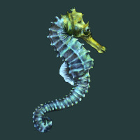Blue Seahorse Premium Hoodie | Teevron