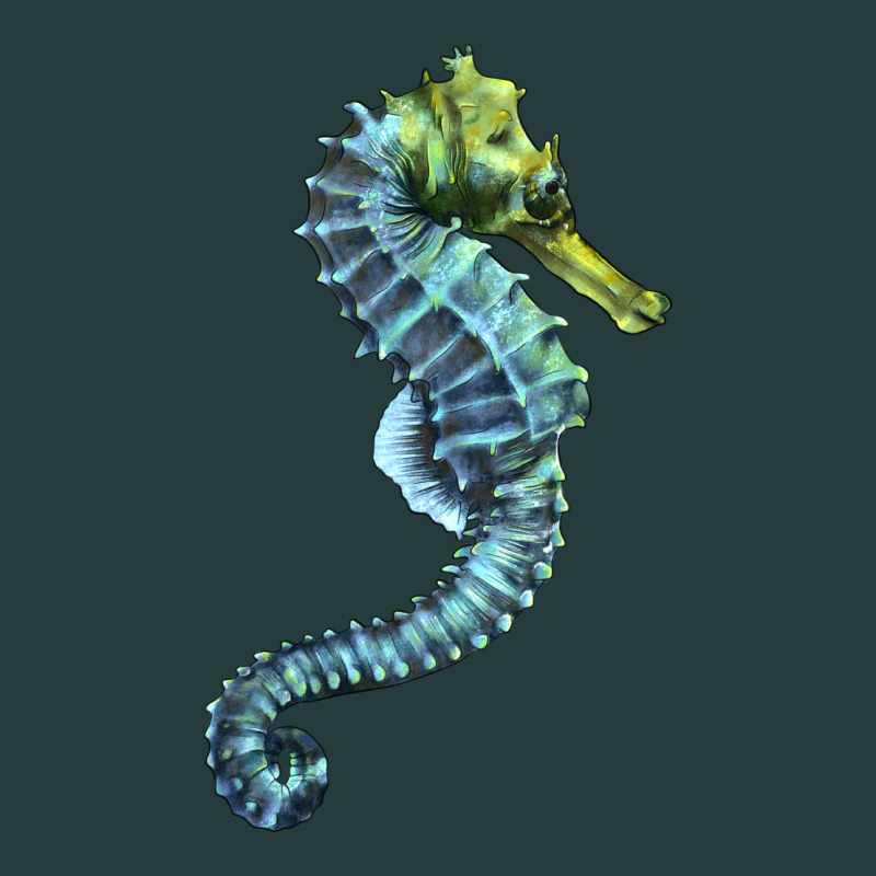 Blue Seahorse Premium Hoodie by LillyAllenDesigns | Teevron