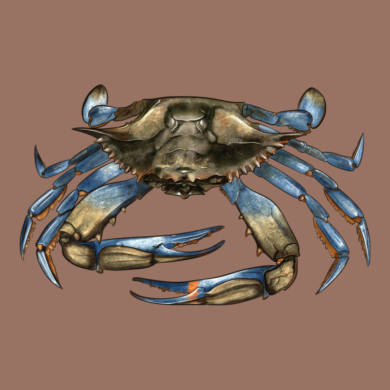 Crab Premium Hoodie by LillyAllenDesigns | Teevron