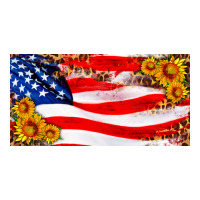 Usa Flag And Sunflower License Plate Premium Sweatshirt | Teevron