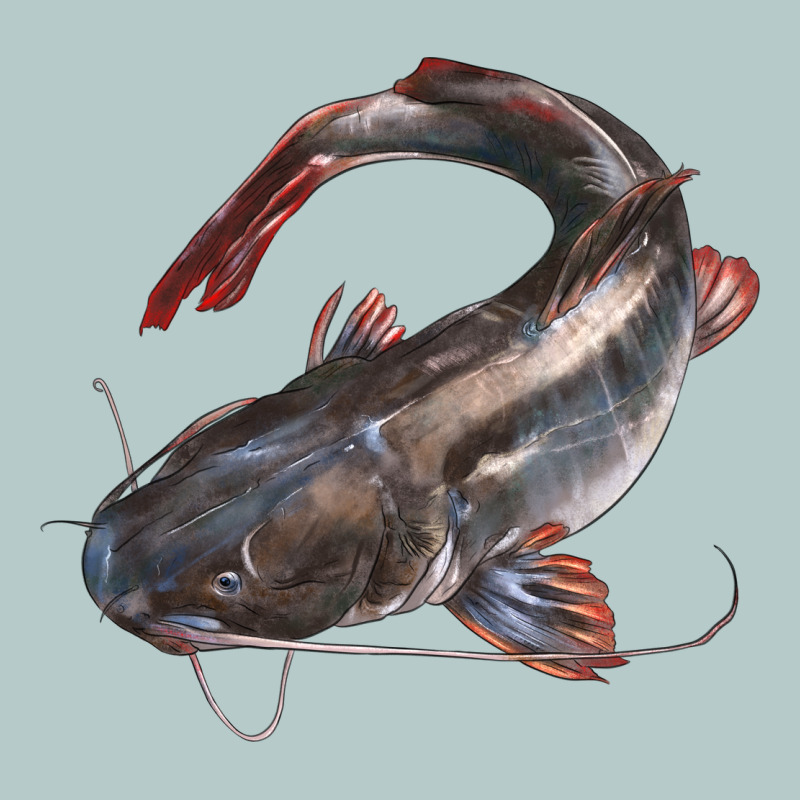Catfish Illustrations Heavy Core Tee by LillyAllenDesigns | Teevron
