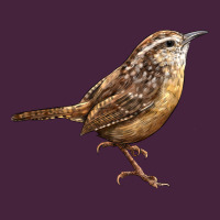 Ccarolina Wren Premium Tee | Teevron