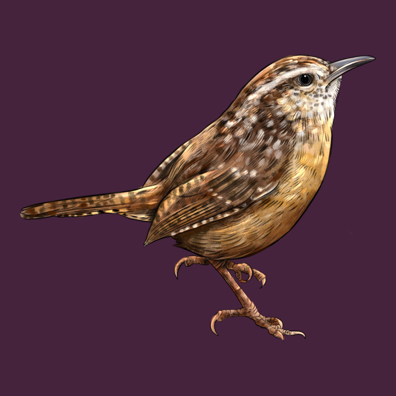 Ccarolina Wren Premium Tee by LillyAllenDesigns | Teevron