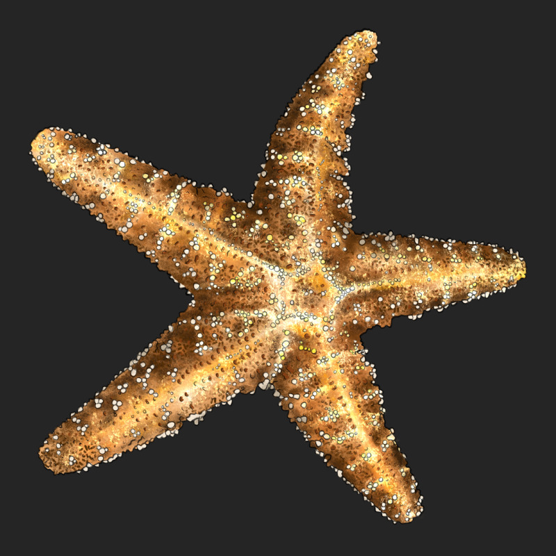 Starfish Premium Hoodie by LillyAllenDesigns | Teevron