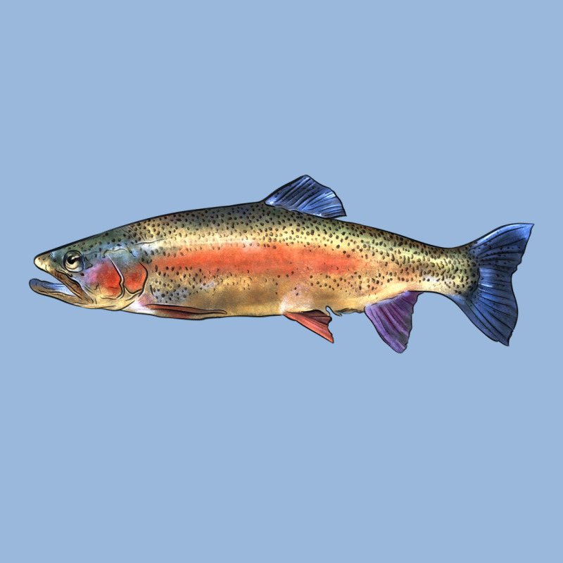 Rainbow Trout Premium Hoodie by LillyAllenDesigns | Teevron