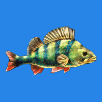 Perch Fish Premium Hoodie | Teevron