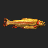 Golden Trout West Virginia Premium Hoodie | Teevron