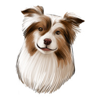 Aussie | Teevron