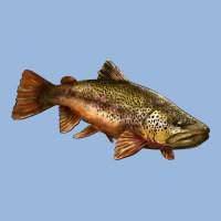 Brown Trout Premium Hoodie | Teevron