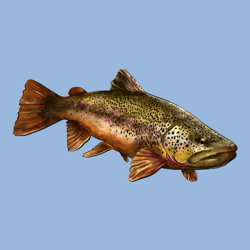 Brown Trout Premium Hoodie by LillyAllenDesigns | Teevron