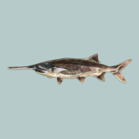 Paddlefish Illustrations, Heavy Core Tee | Teevron