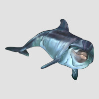 Bottlenose Dolphin Premium Hoodie | Teevron
